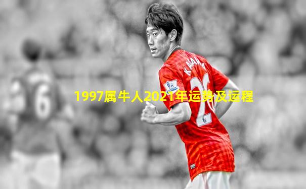 1997属牛人2021年运势及运程