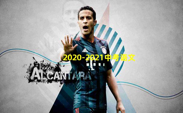 2020-2021中考语文
