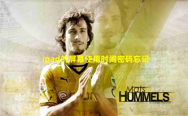 ipad的屏幕使用时间密码忘记