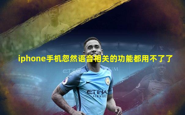 iphone手机忽然语音相关的功能都用不了了