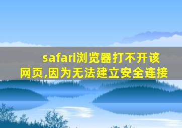 safari浏览器打不开该网页,因为无法建立安全连接
