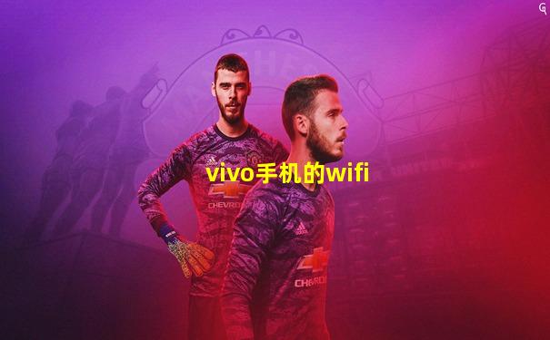 vivo手机的wifi