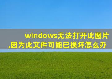 windows无法打开此图片,因为此文件可能已损坏怎么办