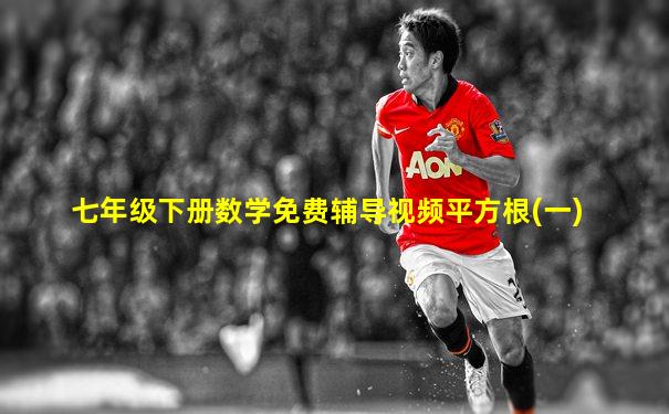 七年级下册数学免费辅导视频平方根(一)