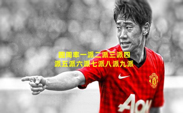 圆周率一派二派三派四派五派六派七派八派九派