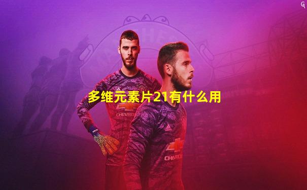 多维元素片21有什么用