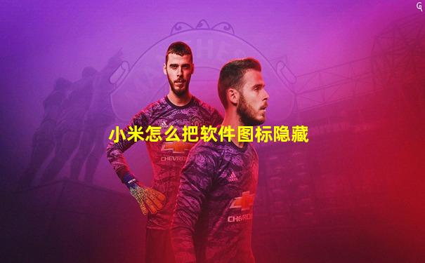 小米怎么把软件图标隐藏