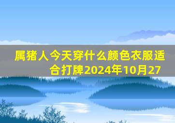 属猪人今天穿什么颜色衣服适合打牌2024年10月27