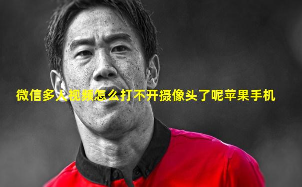 微信多人视频怎么打不开摄像头了呢苹果手机