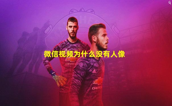 微信视频为什么没有人像