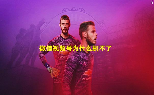 微信视频号为什么删不了