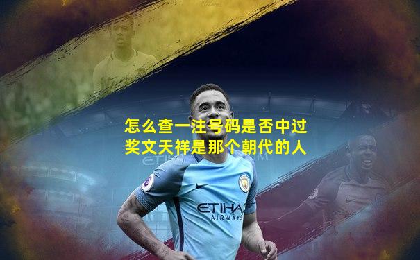 怎么查一注号码是否中过奖文天祥是那个朝代的人