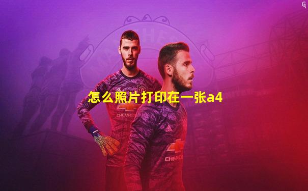 怎么照片打印在一张a4