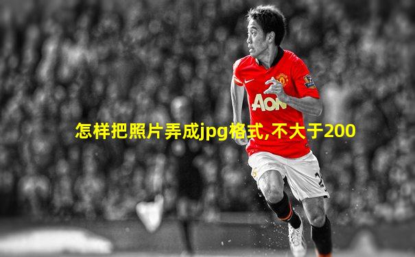 怎样把照片弄成jpg格式,不大于200