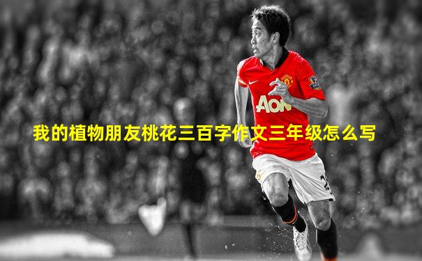我的植物朋友桃花三百字作文三年级怎么写