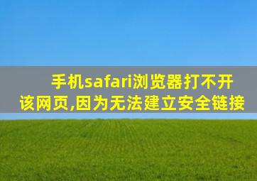 手机safari浏览器打不开该网页,因为无法建立安全链接
