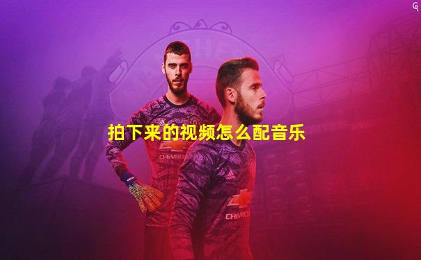 拍下来的视频怎么配音乐