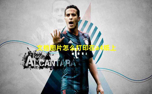 文档图片怎么打印在a4纸上