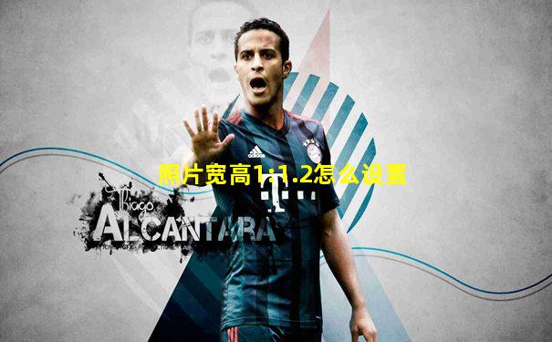 照片宽高1:1.2怎么设置