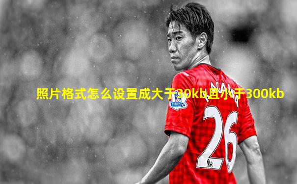 照片格式怎么设置成大于30kb且小于300kb