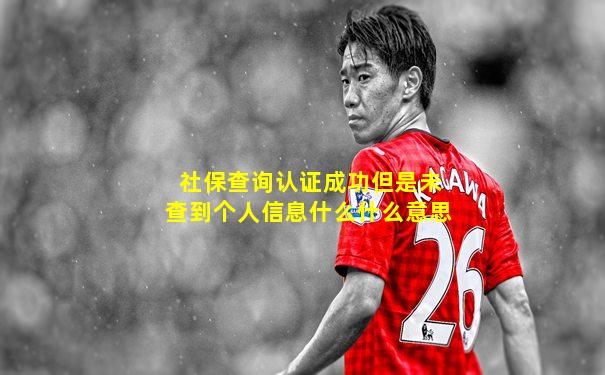 社保查询认证成功但是未查到个人信息什么什么意思