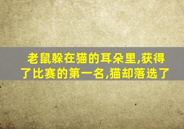老鼠躲在猫的耳朵里,获得了比赛的第一名,猫却落选了