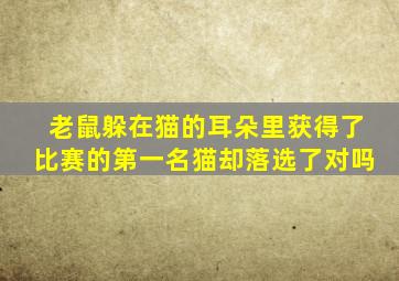 老鼠躲在猫的耳朵里获得了比赛的第一名猫却落选了对吗