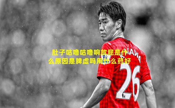 肚子咕噜咕噜响放屁是什么原因是脾虚吗用什么药好