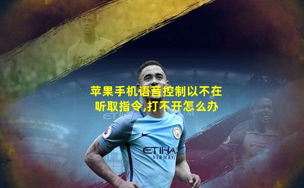 苹果手机语音控制以不在听取指令,打不开怎么办
