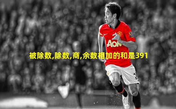 被除数,除数,商,余数相加的和是391