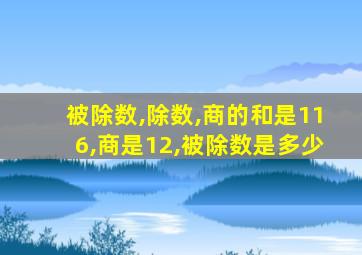 被除数,除数,商的和是116,商是12,被除数是多少