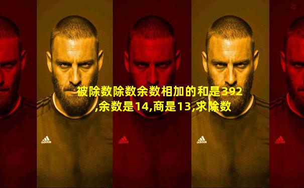 被除数除数余数相加的和是392,余数是14,商是13,求除数
