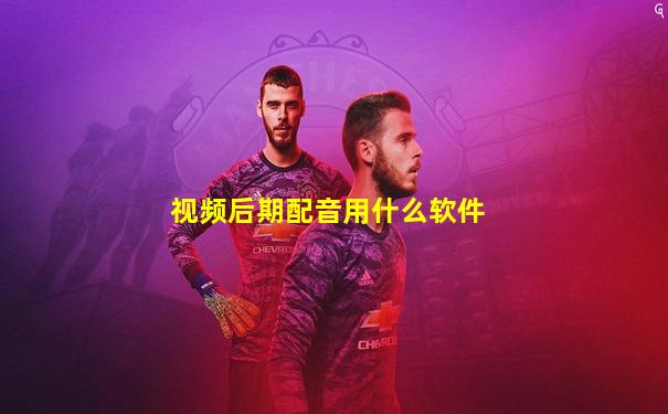 视频后期配音用什么软件