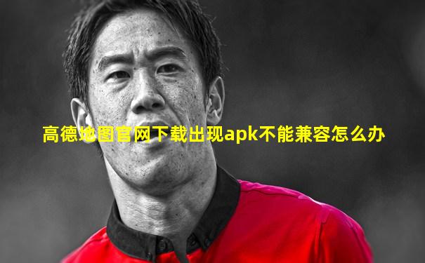 高德地图官网下载出现apk不能兼容怎么办