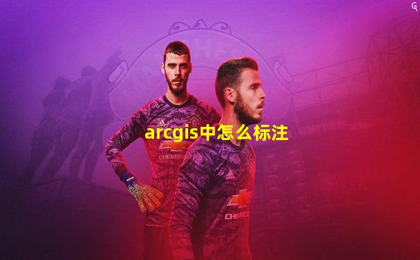 arcgis中怎么标注