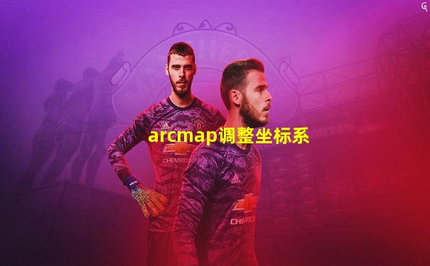 arcmap调整坐标系