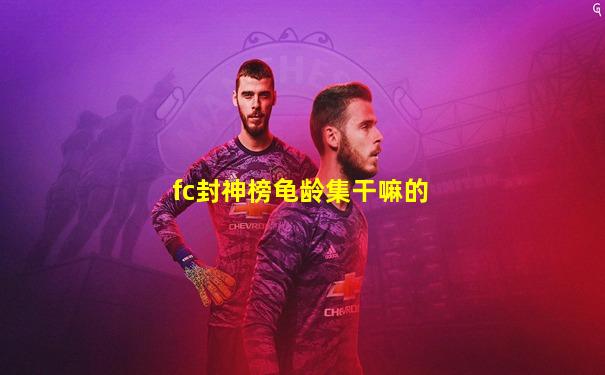 fc封神榜龟龄集干嘛的