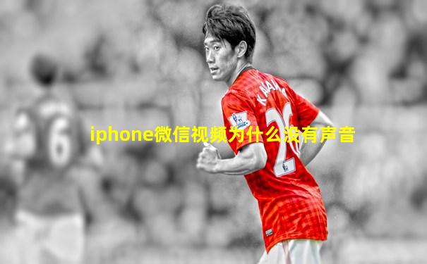 iphone微信视频为什么没有声音