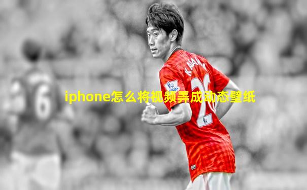 iphone怎么将视频弄成动态壁纸