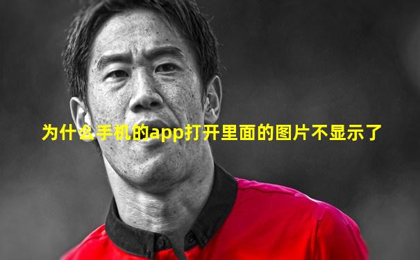 为什么手机的app打开里面的图片不显示了