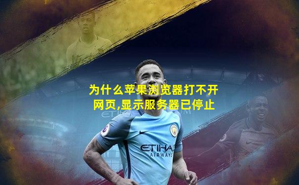 为什么苹果浏览器打不开网页,显示服务器已停止