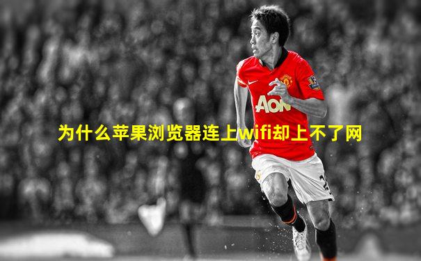 为什么苹果浏览器连上wifi却上不了网