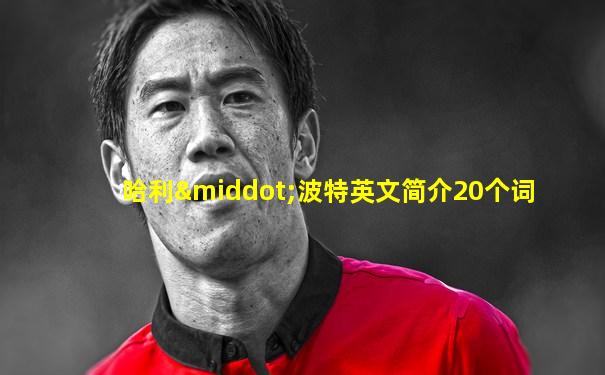 哈利·波特英文简介20个词