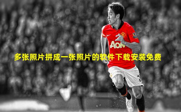 多张照片拼成一张照片的软件下载安装免费