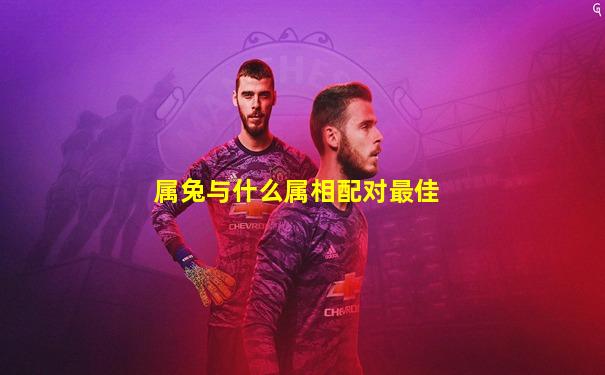属兔与什么属相配对最佳