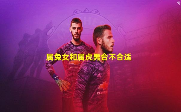 属兔女和属虎男合不合适