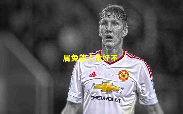 属兔的人命好不