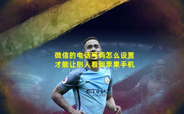 微信的电话号码怎么设置才能让别人看到苹果手机