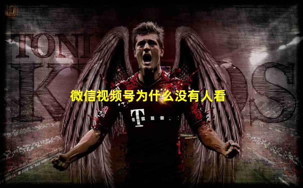 微信视频号为什么没有人看