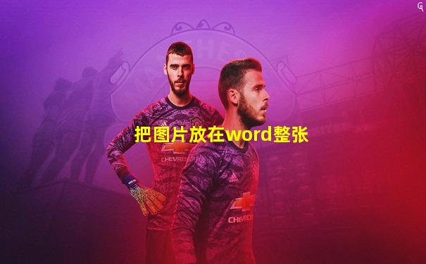 把图片放在word整张